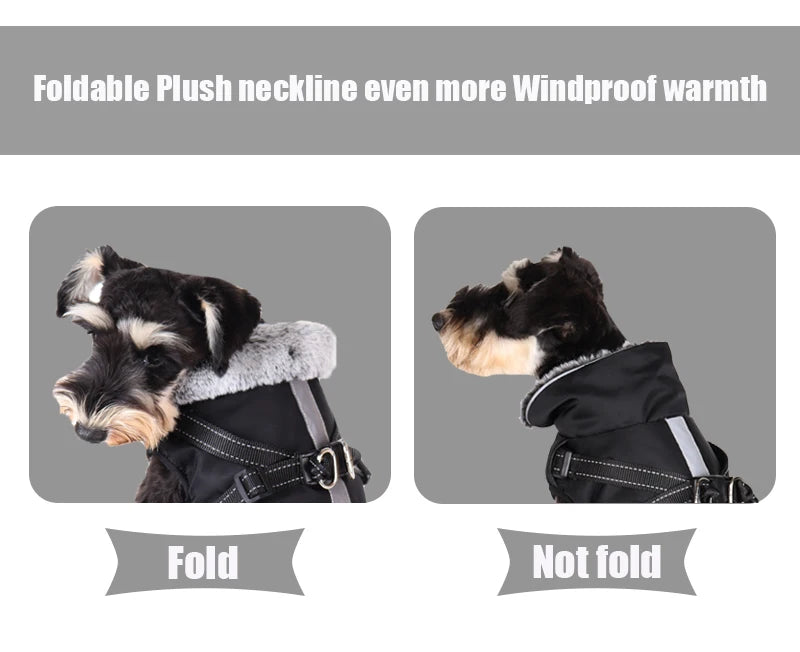 Winter Dog Jacket with Harness – Waterproof, Windproof Coat for Small & Medium Dogs