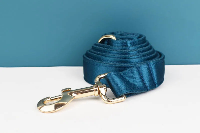 Personalized Dog Collar, Leash & Harness Set