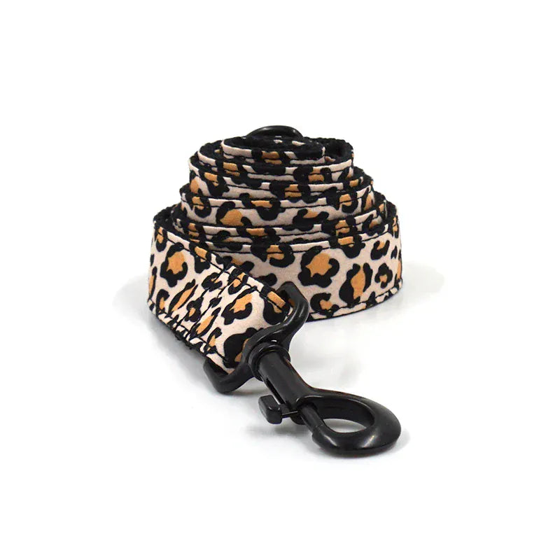 DDPaws Leash / XS Brown Leopard Velvet Set