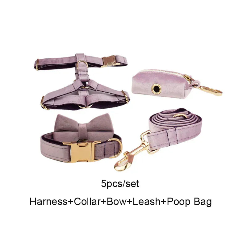 DDPaws  Collar + Harness + Leash + Bowtie + Poop Bag / XS Deep Purple Velvet Set
