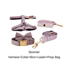 DDPaws  Collar + Harness + Leash + Bowtie + Poop Bag / XS Deep Purple Velvet Set