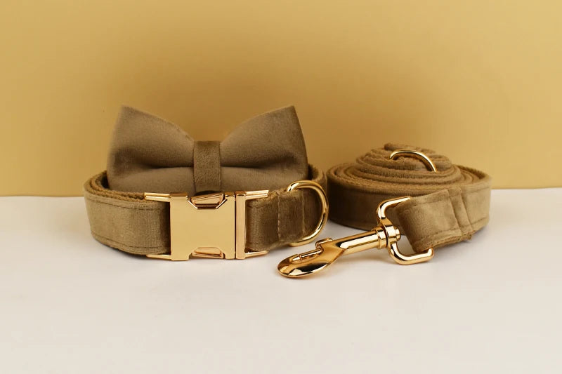 Shallow Khaki Velvet Personalized Dog Collar, Leash & Harness Set