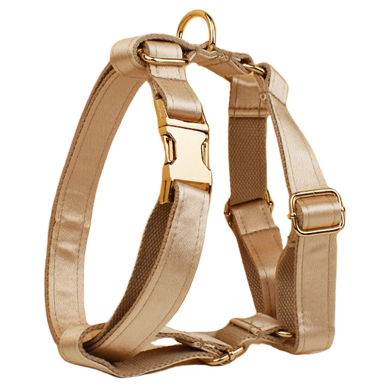 Personalized Dog Collar, Leash & Harness Set