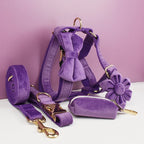 Purple Velvet Personalized Dog Collar, Leash & Harness Set