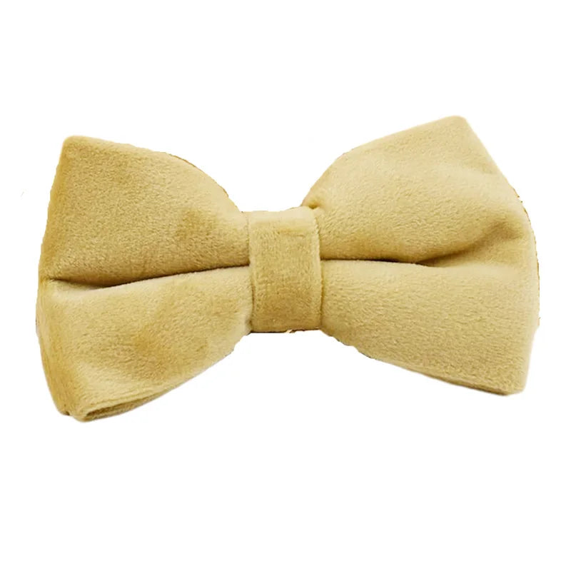 Nude Velvet Personalized Dog Collar, Leash & Harness Set