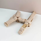 Teddy Velvet Personalized Dog Collar, Leash & Harness Set