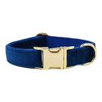 Blue Velvet Personalized Dog Collar, Leash & Harness Set