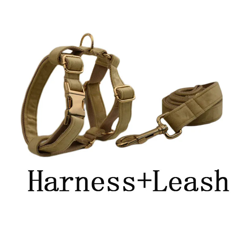 Nude Velvet Personalized Dog Collar, Leash & Harness Set
