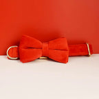 High Quality Dog Collar & Leash Set – Personalized Engraved Nameplate, Padded