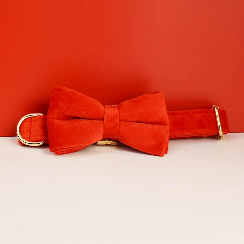 High Quality Dog Collar & Leash Set – Personalized Engraved Nameplate, Padded