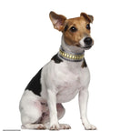 Genuine Leather Dog Collar – 2-Inch Wide Luxury Spike & Diamond Design for Medium & Large Dogs