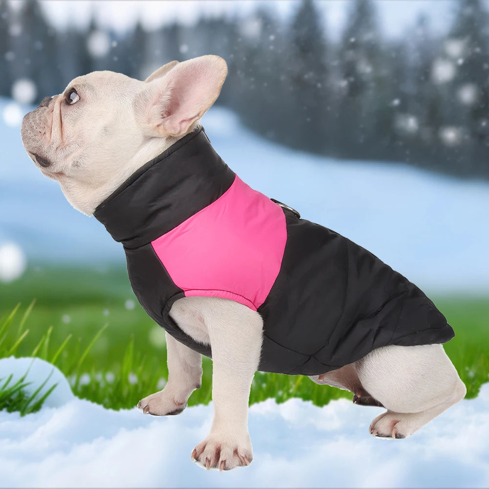 Waterproof Winter Dog Jacket with D-Ring – Windproof Warm Coat for Small to Large Dogs