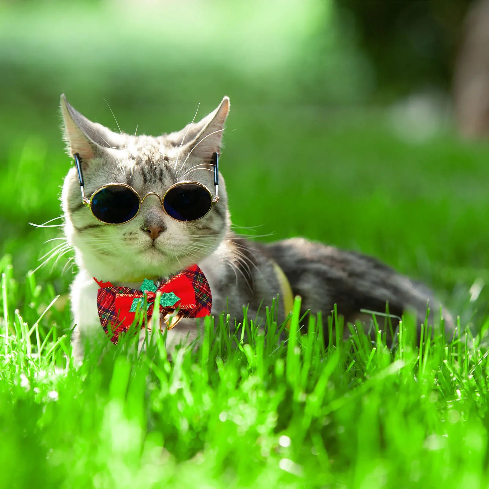 Christmas Dog Collar with Bell & Tie – Festive Adjustable Collar for Dogs & Cats