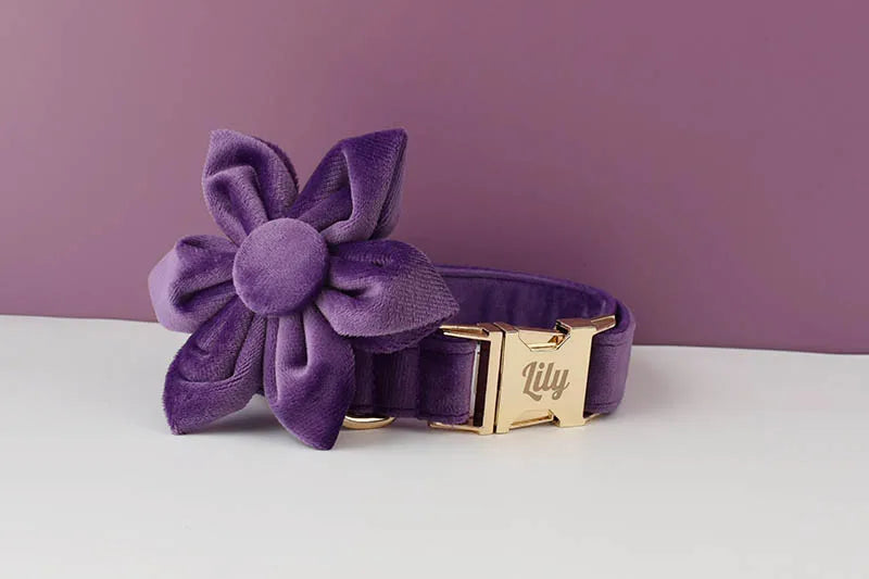 Purple Velvet Personalized Dog Collar, Leash & Harness Set