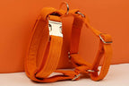 Orange Corduroy Personalized Dog Collar, Leash & Harness Set