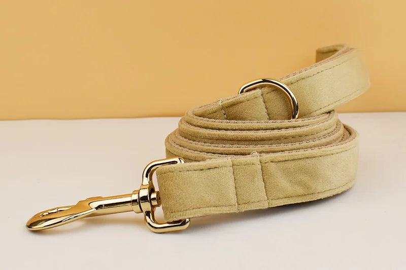Nude Velvet Personalized Dog Collar, Leash & Harness Set