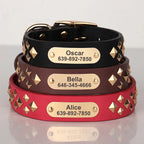 Genuine Leather Dog Collar – Personalized Spiked Studded Design for Small, Medium & Large Dogs