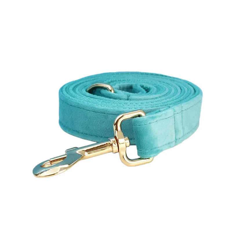 Turquoise Stone Velvet Personalized Dog Collar, Leash & Harness Set
