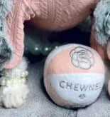 Chewnel Fancy Pet Gifts Sets