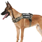 Tactical Service Dog Harness – Adjustable MOLLE Vest with Reflective Straps & Control Handle