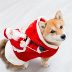 Santa Claus Riding Dog Costume – Funny Christmas Outfit for Small, Medium & Large Dogs