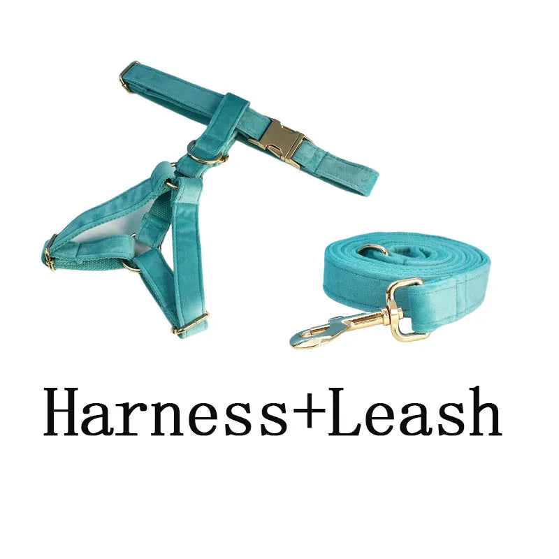 Turquoise Stone Velvet Personalized Dog Collar, Leash & Harness Set