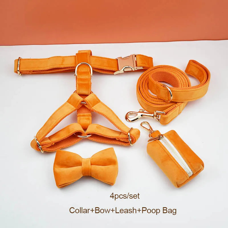Orange Velvet Personalized Dog Collar, Leash & Harness Set