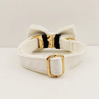 White Velvet Personalized Dog Collar, Leash & Harness Set