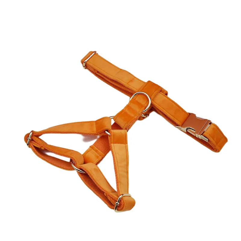 Orange Velvet Personalized Dog Collar, Leash & Harness Set