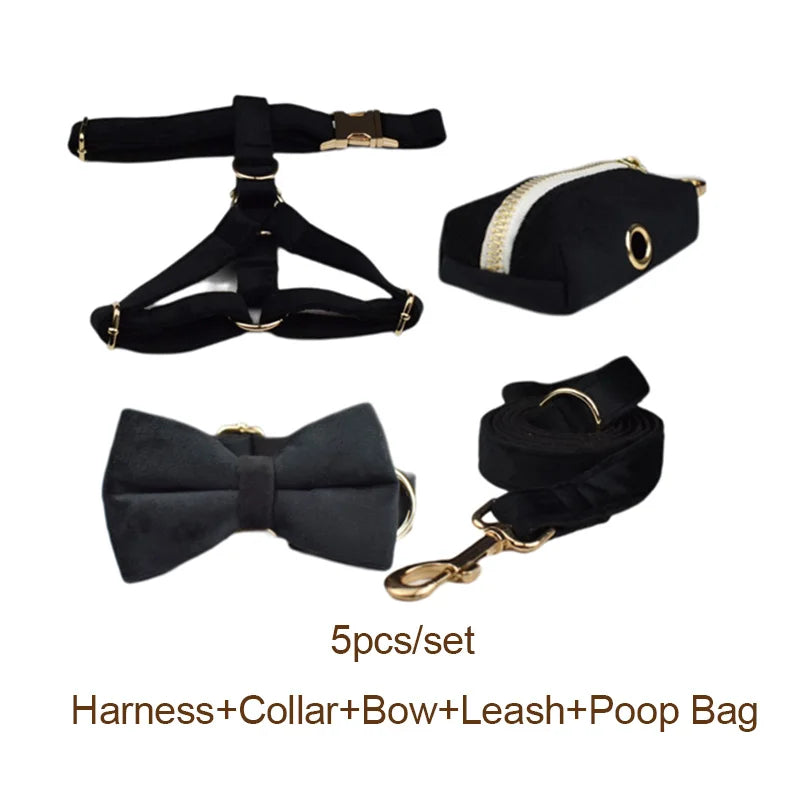 Black Velvet Personalized Dog Collar, Leash & Harness Set