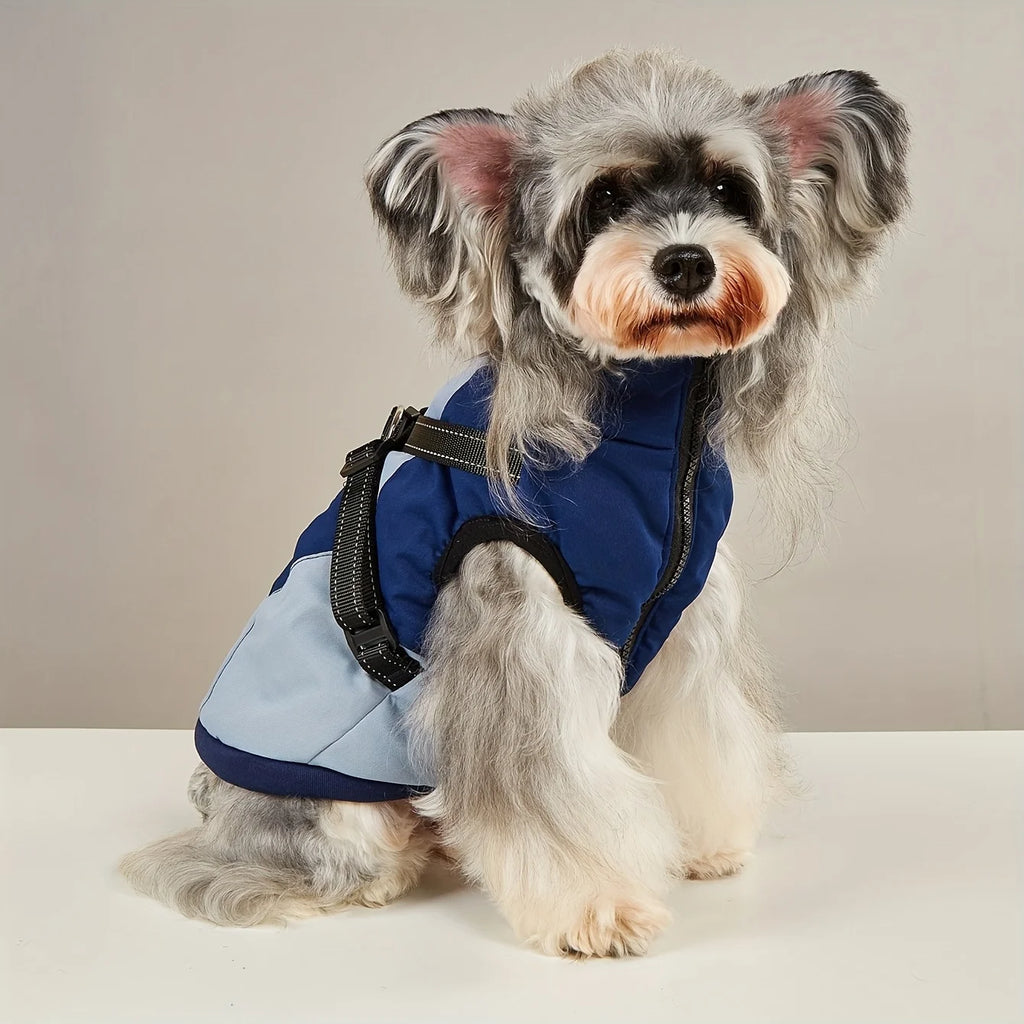 Waterproof Winter Dog Jacket with Harness – Warm Outdoor Coat for Small & Medium Dogs