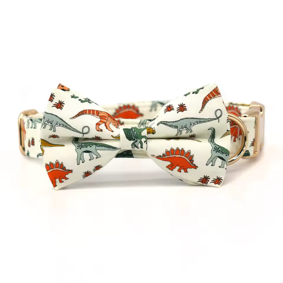 Dinosaur Dog Collar and Leash Set