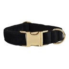 Black Velvet Personalized Dog Collar, Leash & Harness Set