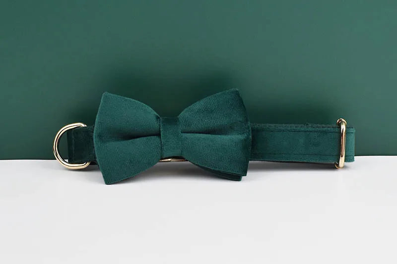 Green Velvet Personalized Dog Collar, Leash & Harness Set