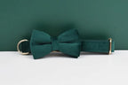 Green Velvet Personalized Dog Collar, Leash & Harness Set