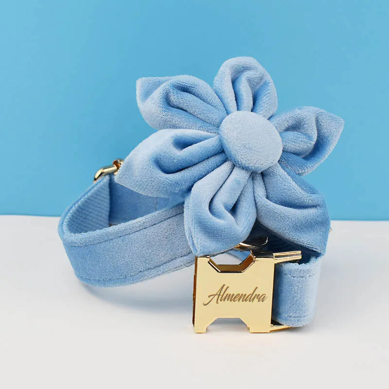 Blue Velvet Personalized Dog Collar, Leash & Harness Set