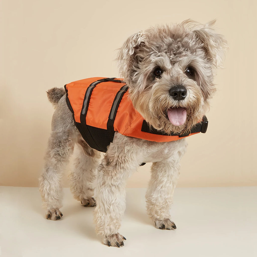 Reflective Dog Life Jacket – Adjustable Buoyancy Vest for Swimming, Boating & Surfing (All Sizes)