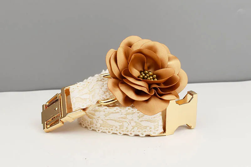 Lace Personalized Dog Collar, Leash & Harness Set