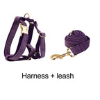 Purple Corduroy Dog Collar Leash and Harness Set