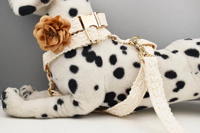 Lace Personalized Dog Collar, Leash & Harness Set