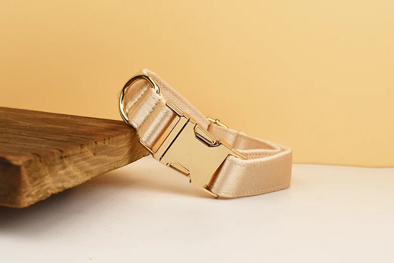 Personalized Dog Collar, Leash & Harness Set