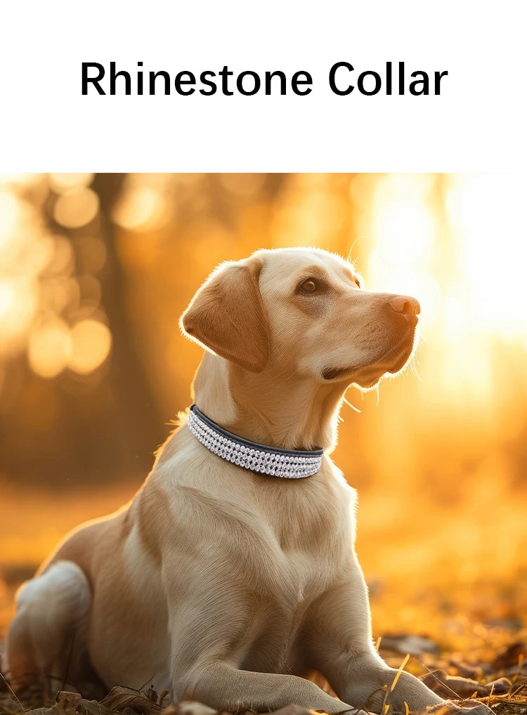 Rhinestone Dog Collar – Sparkling Crystal PU Collar for Cats & Dogs