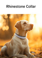 Rhinestone Dog Collar – Sparkling Crystal PU Collar for Cats & Dogs