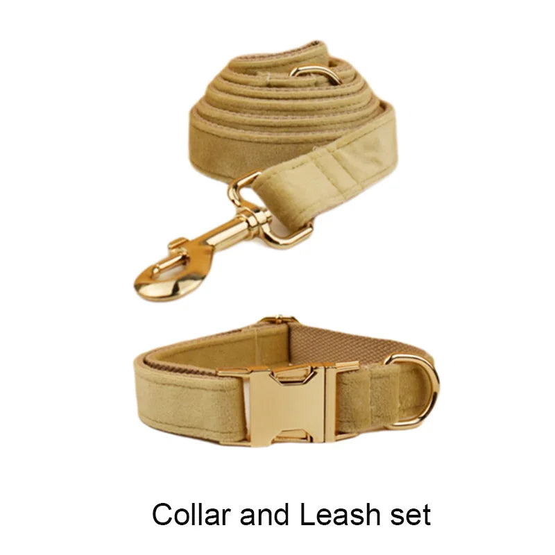 Nude Velvet Personalized Dog Collar, Leash & Harness Set