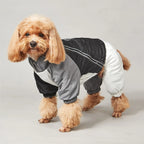 Winter Dog Jacket with Traction Ring – Thick, Windproof & Warm Coat for Medium & Large Dogs