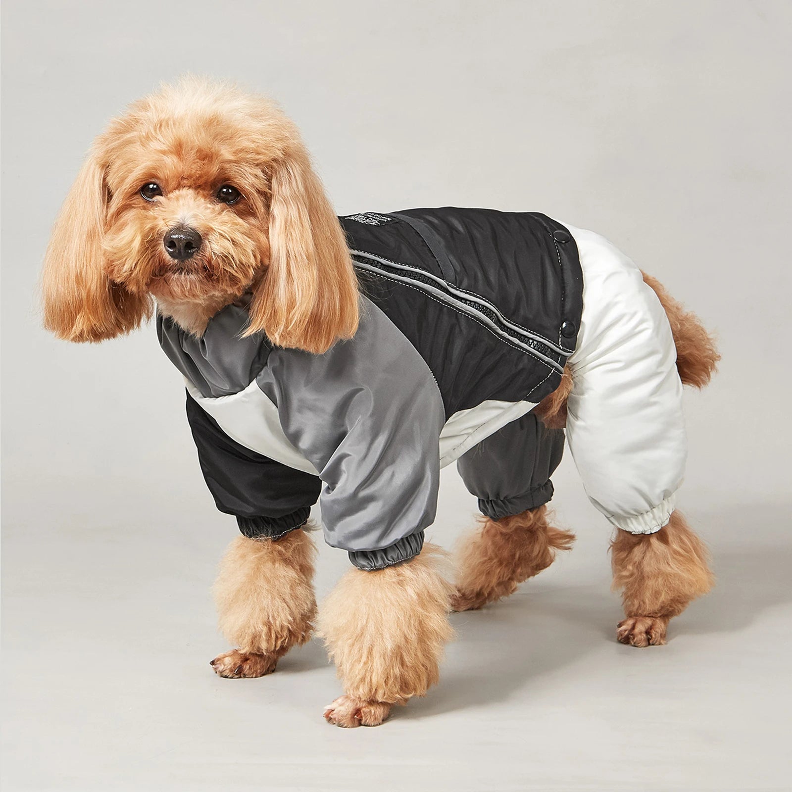 Winter Dog Jacket with Traction Ring – Thick, Windproof & Warm Coat for Medium & Large Dogs