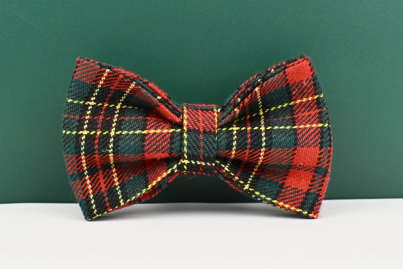 Personalized Dog Collar, Leash & Harness Set