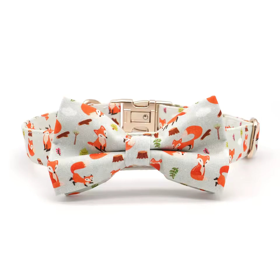 Fox Hollow Dog Collar and Leash Set