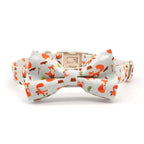 Fox Hollow Dog Collar and Leash Set