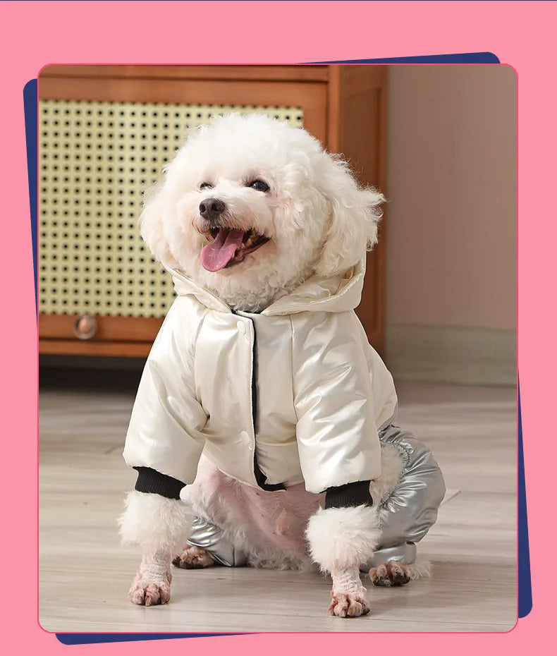 Waterproof Winter Dog Jacket – Warm Down Coat with Hood for Small Dogs